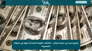 تراجع جديد في سعر الدولار.. اكتشف القيمة المحدثة اليوم في البنوك المصرية!